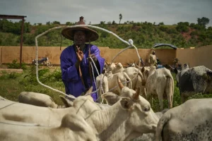 Notre rapport d&rsquo;activité 2023 à lire !