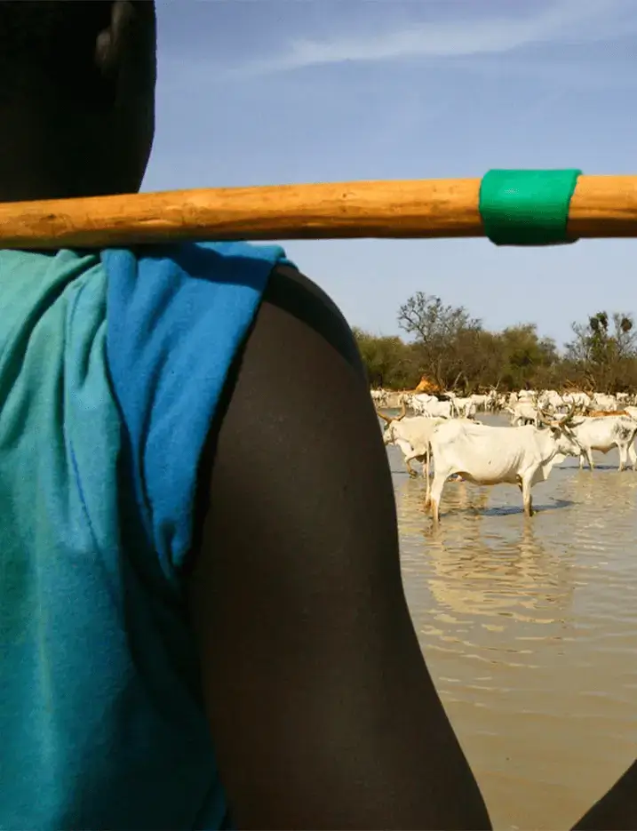 Solthis - Santé climat